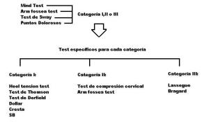 cuadro de Tests específicos por categorías de Dejarnette